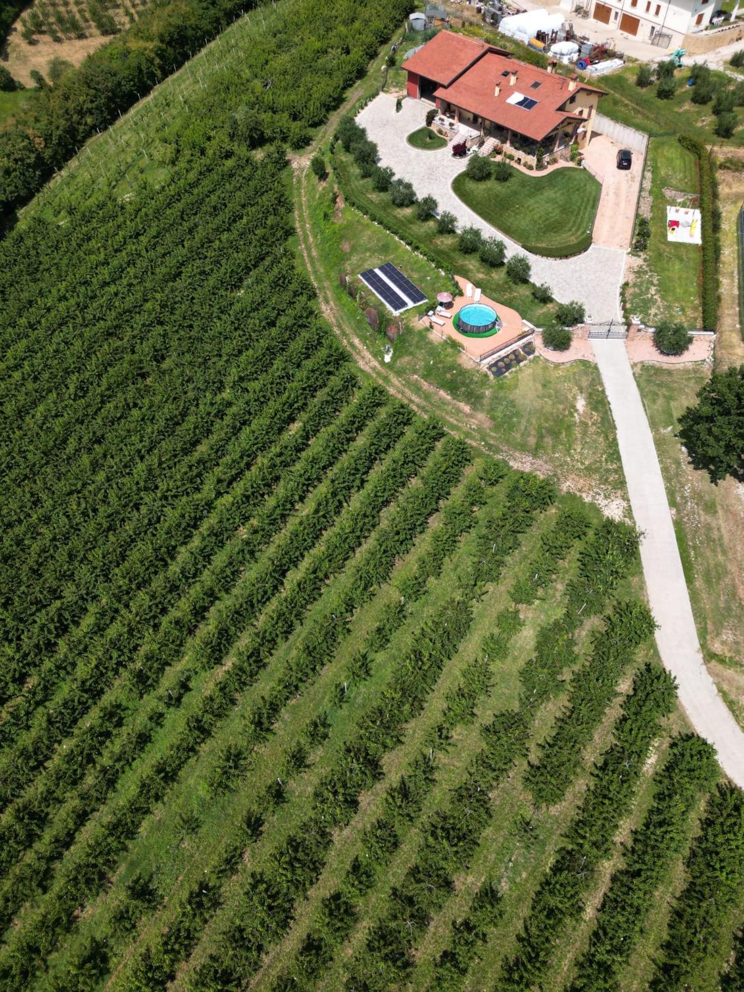 La Collina Dei Ciliegi Vila San Mauro di Saline Exterior foto